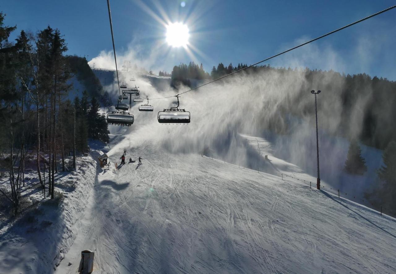 Quartier12 "Ski In & Bike Out" - Fewo Berg Willingen  Luaran gambar